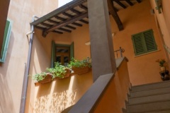 Scatti-giornata-a-Spello-e-Cortona-202045