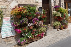 Scatti-giornata-a-Spello-e-Cortona-20206