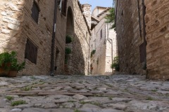 Scatti-giornata-a-Spello-e-Cortona-202070