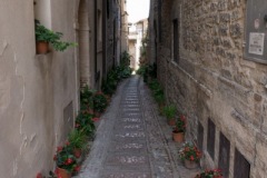 Scatti-giornata-a-Spello-e-Cortona-202072