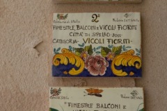 Scatti-giornata-a-Spello-e-Cortona-202073