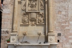 Scatti-giornata-a-Spello-e-Cortona-202074