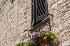 Scatti-giornata-a-Spello-e-Cortona-20208