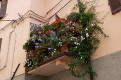 Scatti-giornata-a-Spello-e-Cortona-202087