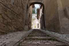 Scatti-giornata-a-Spello-e-Cortona-202089