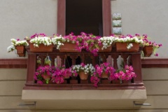 Scatti-giornata-a-Spello-e-Cortona-20209
