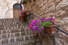 Scatti-giornata-a-Spello-e-Cortona-202093