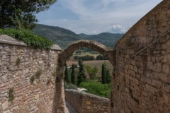 Scatti-giornata-a-Spello-e-Cortona-202094
