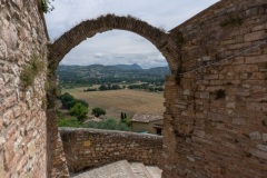 Scatti-giornata-a-Spello-e-Cortona-202095