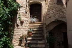 Scatti-giornata-a-Spello-e-Cortona-202099