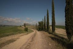 Scatti Val d'Orcia 002 24 aprile 2017