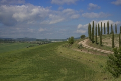 Scatti Val d\'Orcia 004 24 aprile 2017