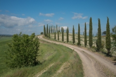 Scatti Val d\'Orcia 006 24 aprile 2017
