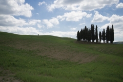 Scatti Val d\'Orcia 070 24 aprile 2017