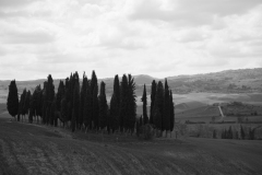Scatti Val d\'Orcia 076 24 aprile 2017