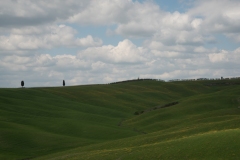 Scatti Val d\'Orcia 080 24 aprile 2017