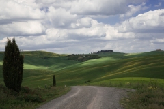 Scatti Val d'Orcia 096 24 aprile 2017