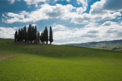 Scatti Val d'Orcia 100 24 aprile 2017