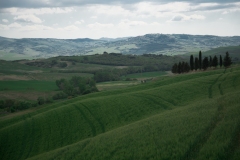 Scatti Val d\'Orcia 126 24 aprile 2017