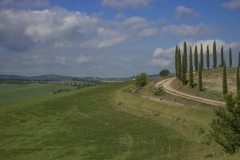 Scatti Val d\'Orcia 004 24 aprile 2017