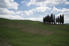 Scatti Val d\'Orcia 070 24 aprile 2017